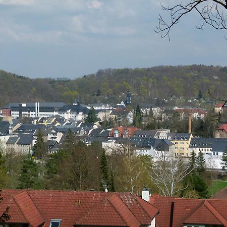 Urlaub Und Arbeit In Waldheim Apartment Exterior photo